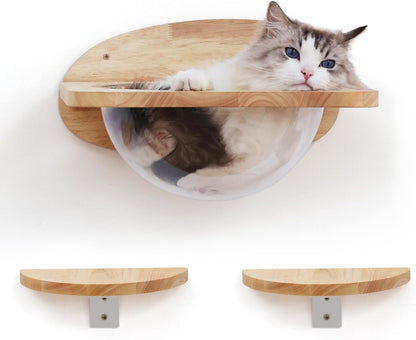 FUKUMARU Cat Wall Furniture Set, Transparent Capsule Kitten Walls Shelves with 2 PCS Pedals