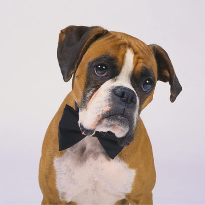 Dog Collar Bowties - 20 PCS Birthday Gift Adjustable Pet Bow Ties for Boys Girls Puppy Cats
