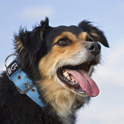 TSPRO Tactical Dog Collar 1.5 Inch Wide Thick Dog Collars with Heavy Duty Metal Buckle, Durable