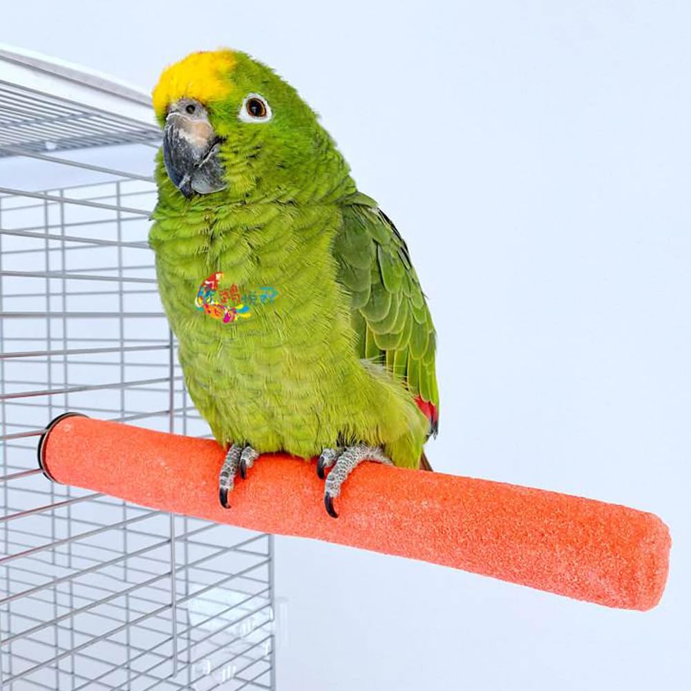10 Pcs Parrot Perch Stand Bird Perch Stand Toy Colorful Paw Grinding Stick Cage Wooden Parakeet