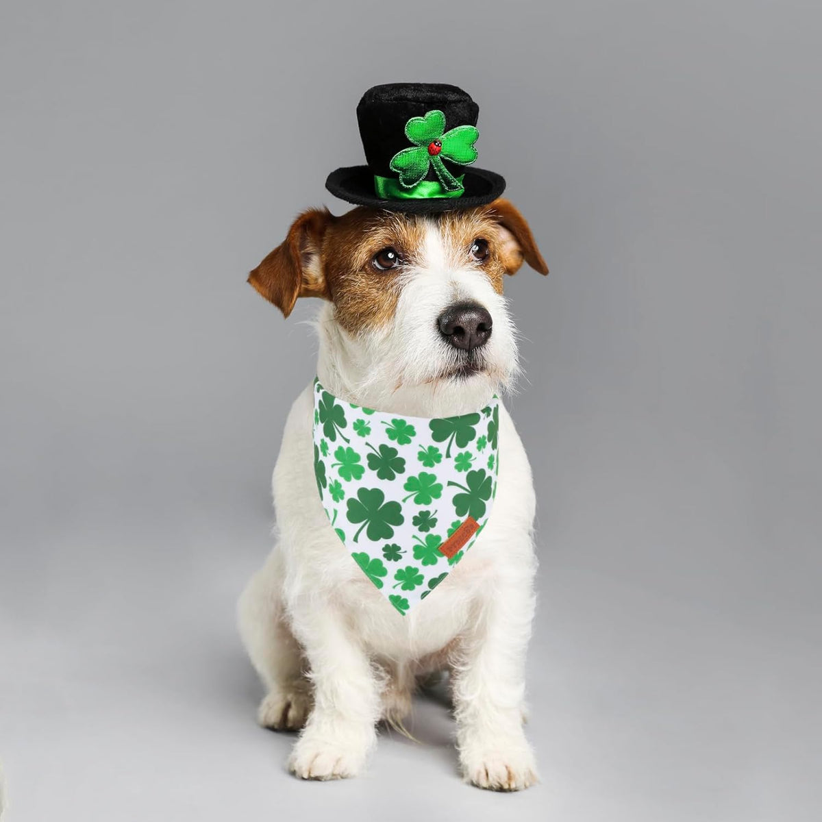 PTDECOR St. Patrick's Day Dog Bandana, Reversible Dog Scarf, Multi Size Offered, Green Shamrock Pet