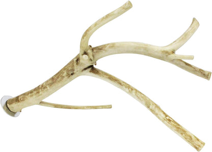 Multi-Branch Perch (Medium) - Durable Natural Climbing Branch Perch Cage Accessory - Sugar Gliders