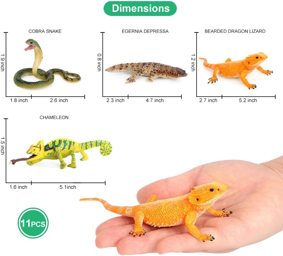 Volnau Animal Figurines Snake Toys 11PCS Reptile Figures Cold Blooded Amphibians Lizard Zoo Pack