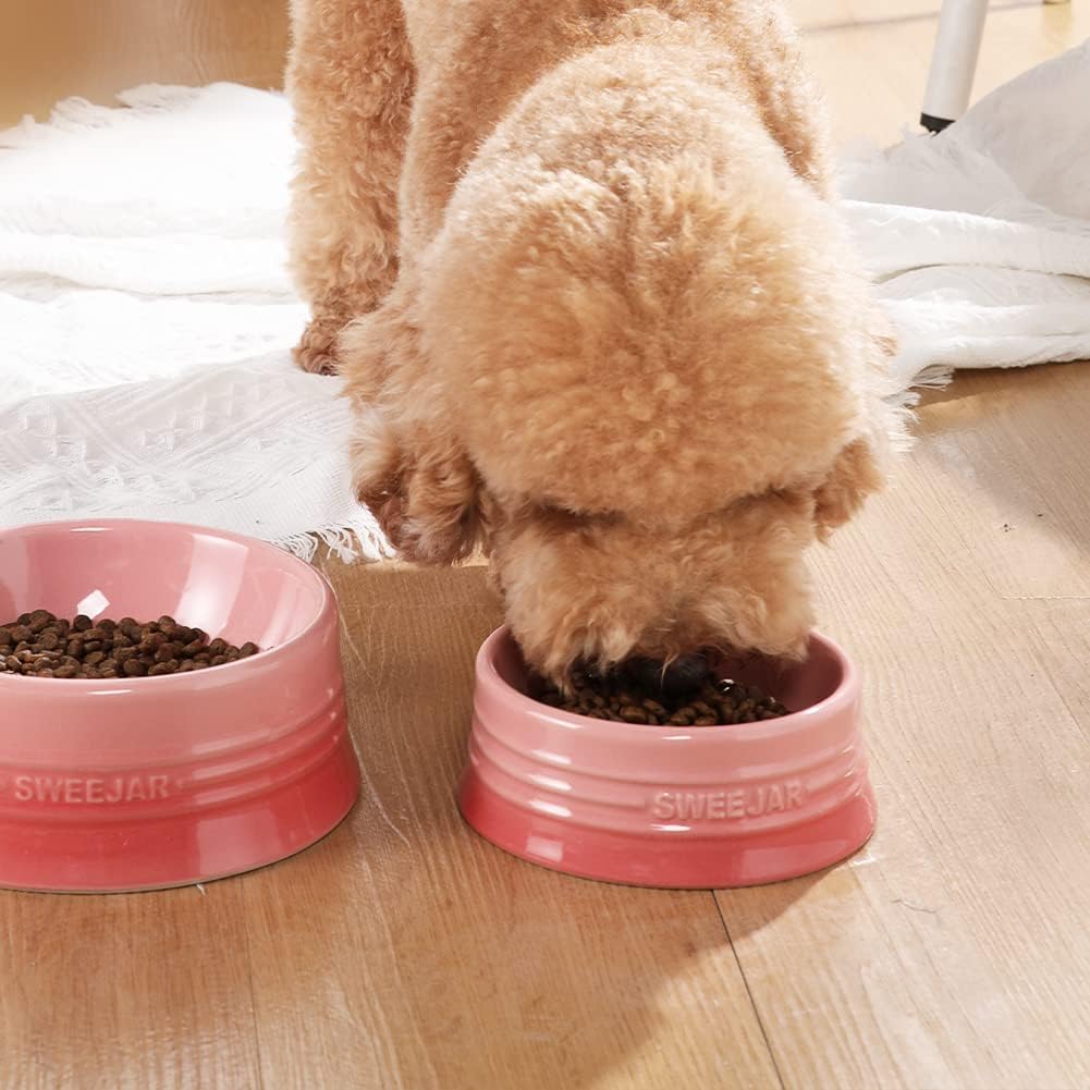 Sweejar Ceramic Dog Bowl, 32 oz, Gradient Pink, Porcelain Pet Dish for Food and Water, Non