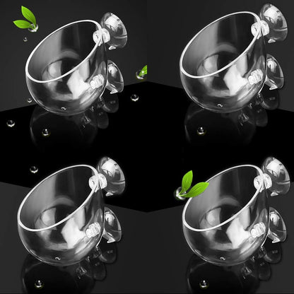 capetsma 4X Crystal Glass Aquarium Plant Pot, Aquarium Aquatic Planter, Red Shrimp Live Plants Fish