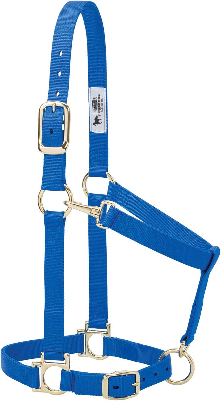 Weaver Leather Nylon Horse Halter, Padded and Adjustable, Chin and Throat Snap Hook Halters for