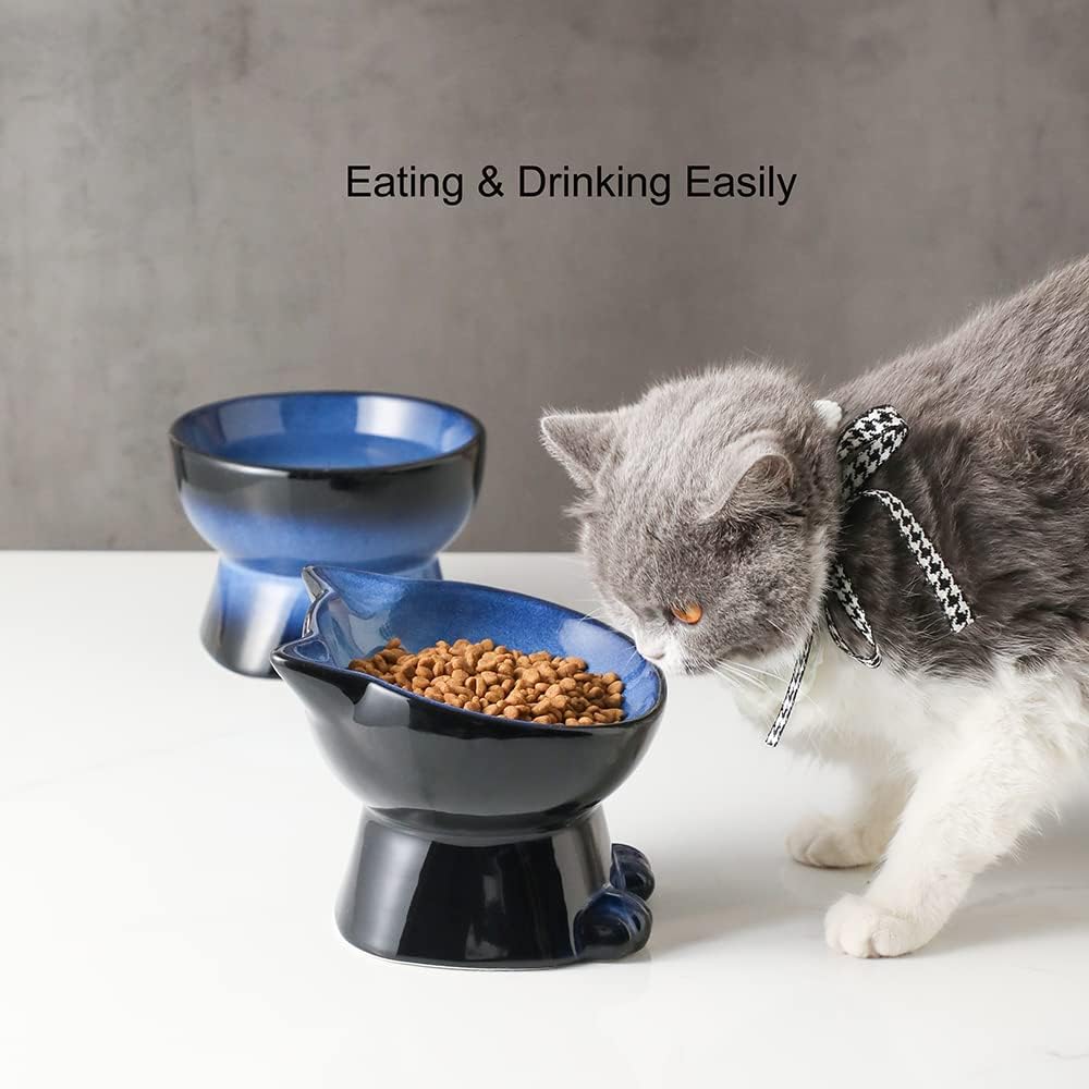 Nihow Elevated Cat/Dog Bowls Set : 6.2 Inch Ceramic Raised Cat Food & Water Bowl Set for Protecting