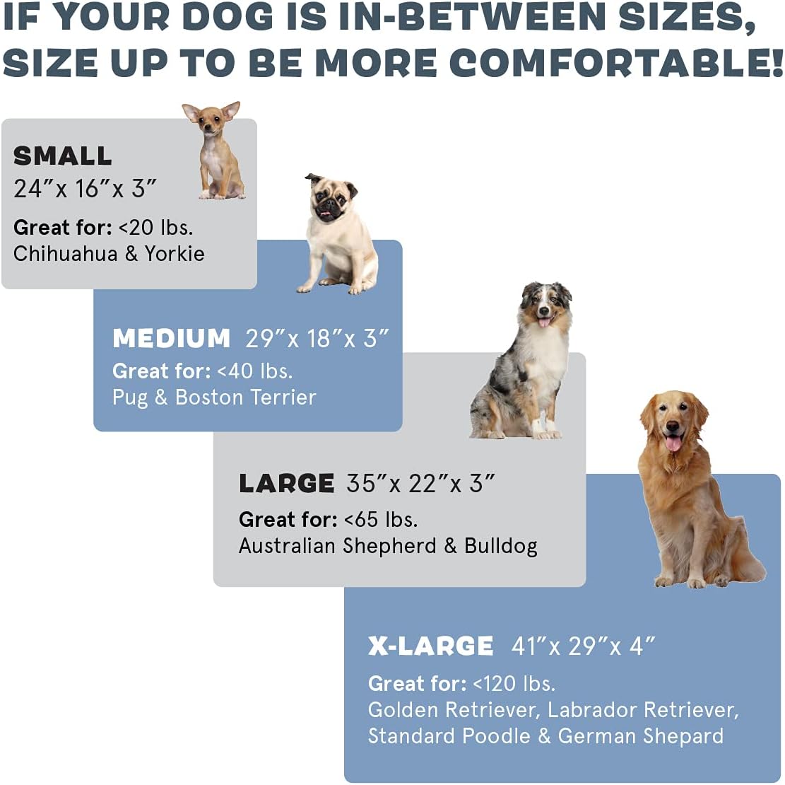 Barkbox Orthopedic Dog Bed | Comfortable Memory Foam Mattress for Joint Relief | Head and Neck