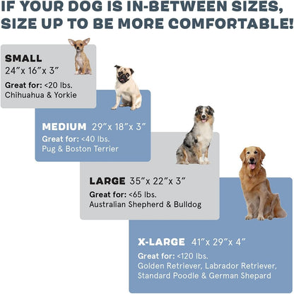 Barkbox Orthopedic Dog Bed | Comfortable Memory Foam Mattress for Joint Relief | Head and Neck