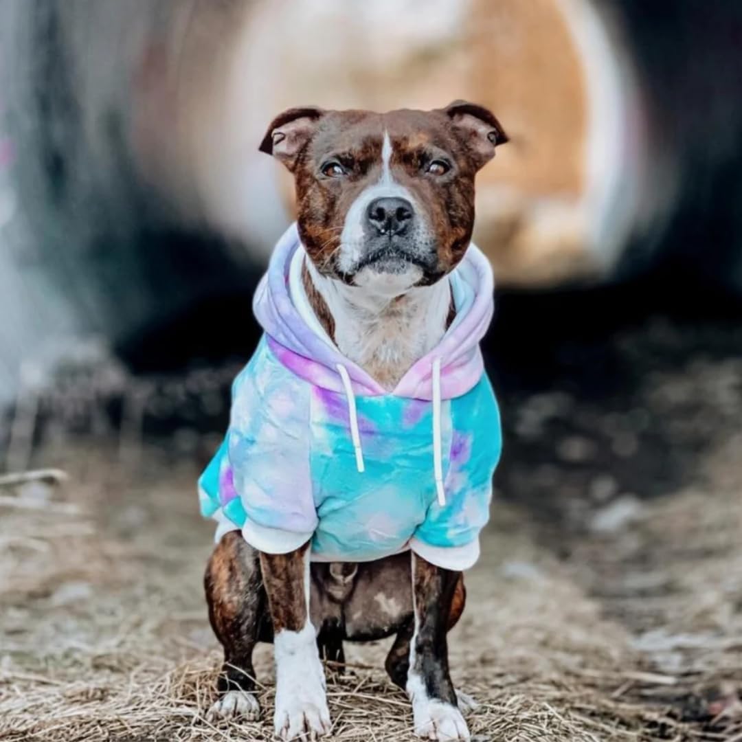 Spark Paws Dog Hoodie – Premium Dog Sweater for Small, Medium, and Large Dogs | Warm Outfits for
