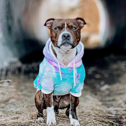 Spark Paws Dog Hoodie – Premium Dog Sweater for Small, Medium, and Large Dogs | Warm Outfits for