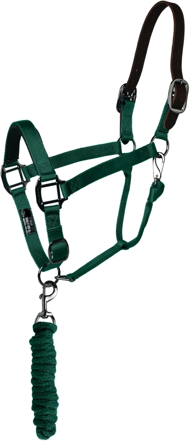 Majestic Ally Leather Halter with Matching Lead Rope for Horses – Leather Breakaway Crown