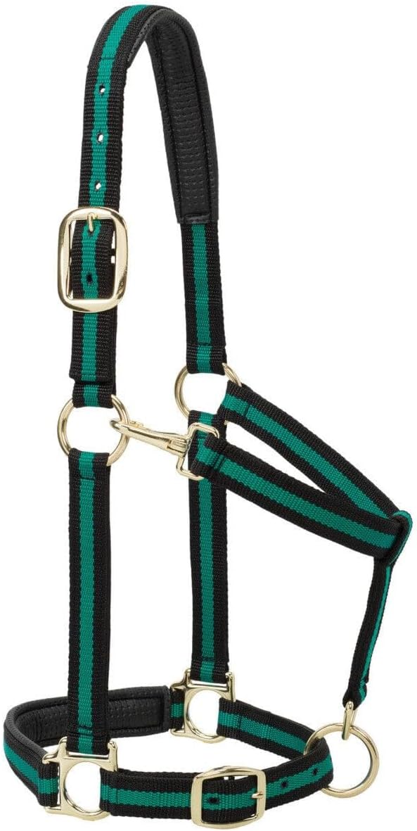 Weaver Equine Nylon Horse Halter, Triple-Ply Cheek Design, Original Non Adjustable Halters for