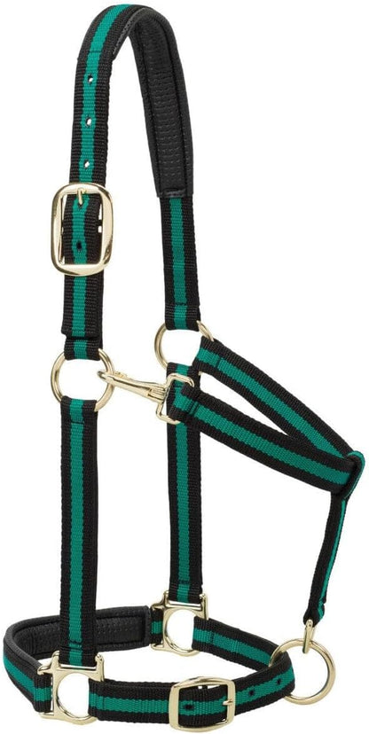 Weaver Equine Nylon Horse Halter, Triple-Ply Cheek Design, Original Non Adjustable Halters for
