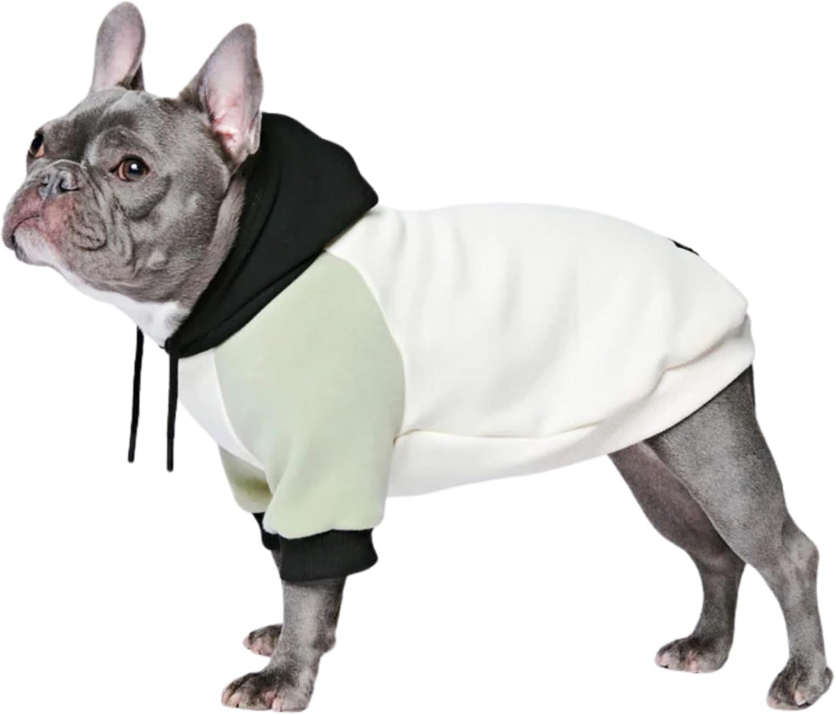 Spark Paws Dog Hoodie – Premium Dog Sweater for Small, Medium, and Large Dogs | Warm Outfits for