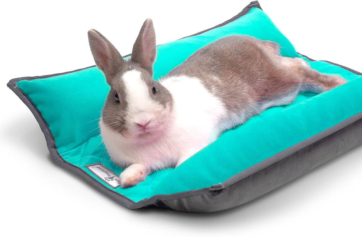 Paw Inspired Snuggle Bunny Bolster Bed for Rabbits, Cats, Dogs and Other Small Pets, Reversible