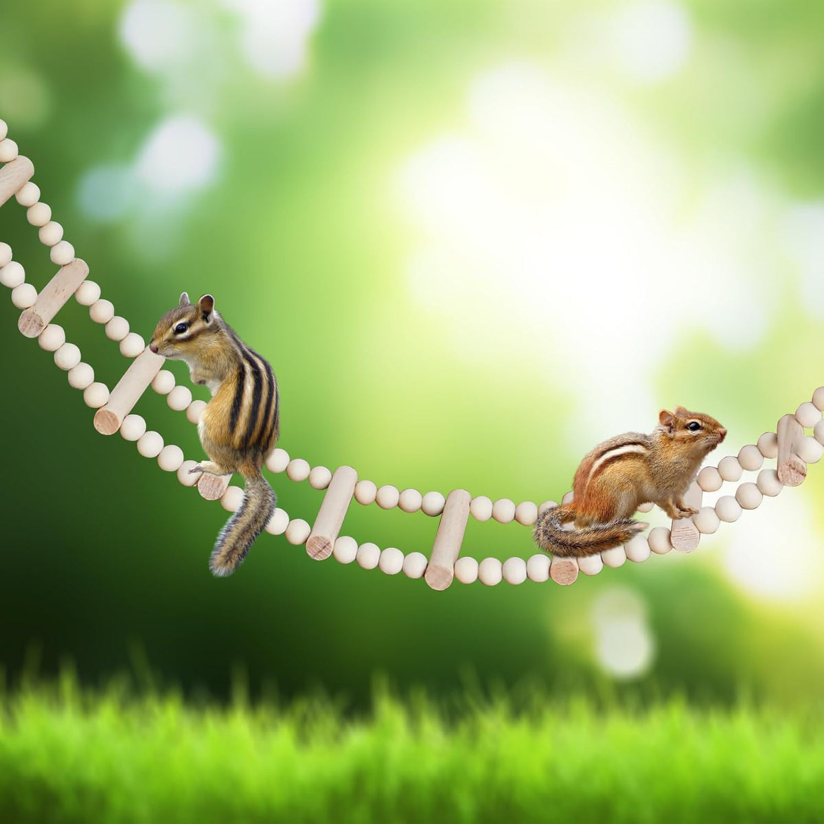 Long Bird Ladder with Wooden Rungs and Beads, Parakeet Climbing Swing Toys, Bird Cage Accessories