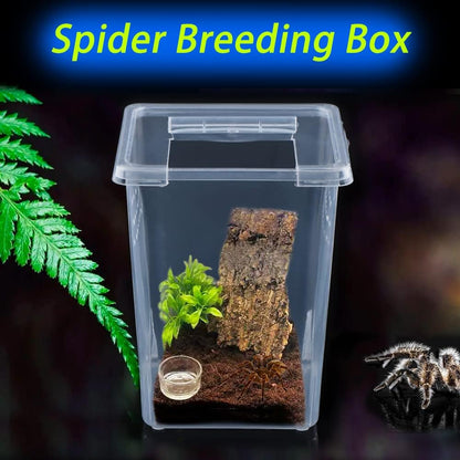 10 Pack Spider Terrariums Breeding Box Small Reptile Hatching Container Acrylic Feeding Box for
