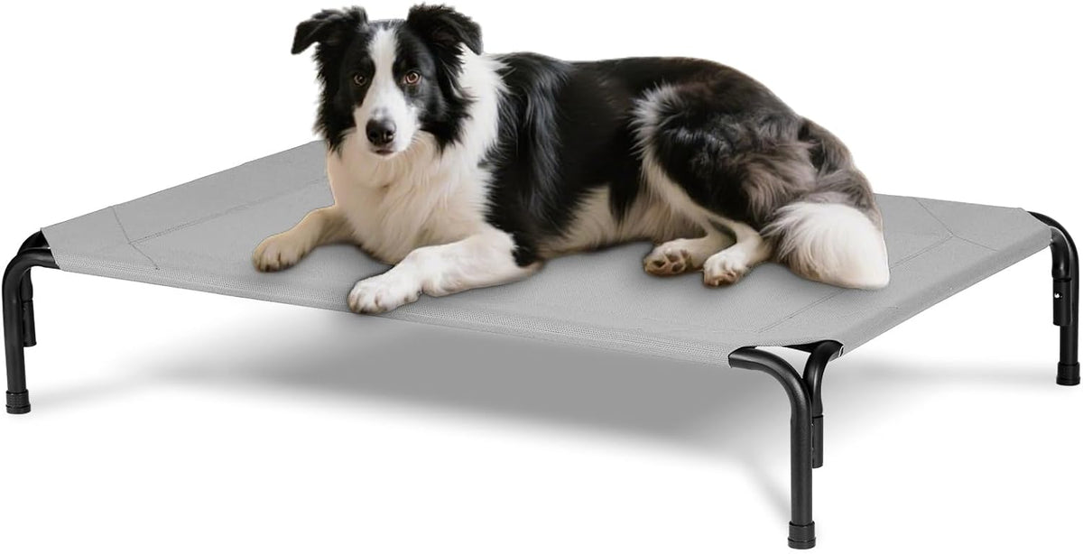 Elevated Dog Bed for Outdoor, Large Raised Dogs Cot for Training, Cooling Pet Beds with Washable