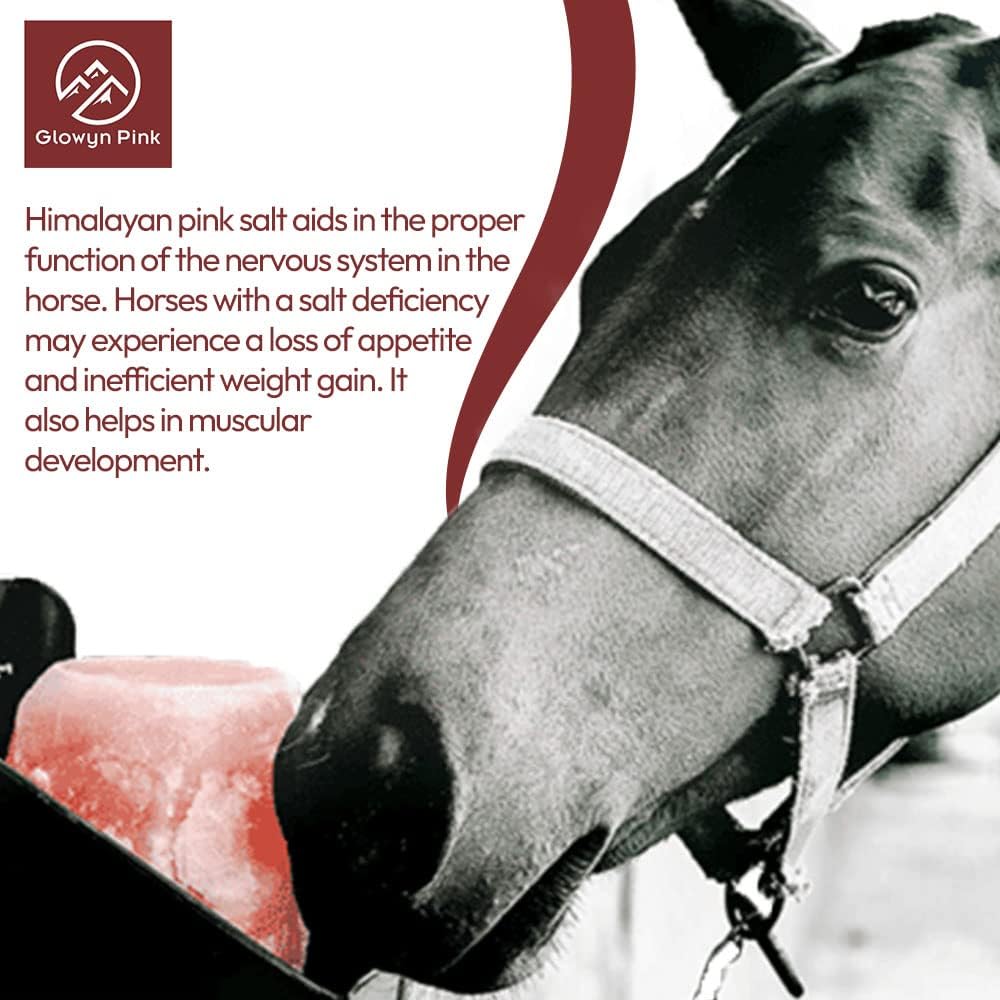 Himalayan Mineral Salt Block on Rope Pack of 4 (3lbs each) – 100% Organic Pink Salt Lick for Horses