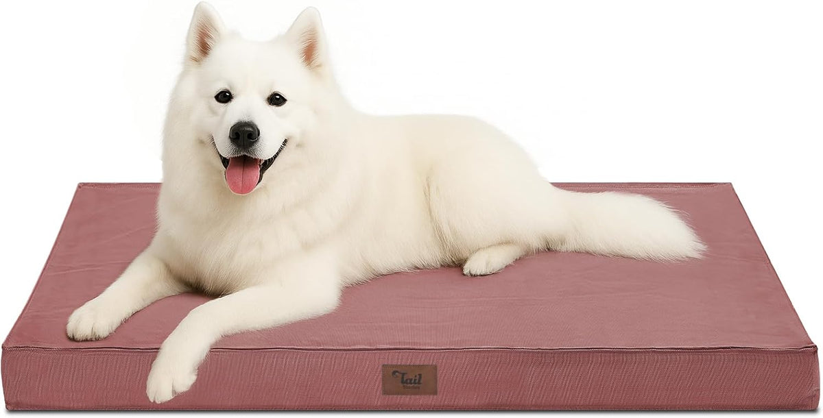 Outdoor Large Dog Bed, Waterproof Dog Bed for Large Dogs, Egg Crate Foam Pet Bed with Removable