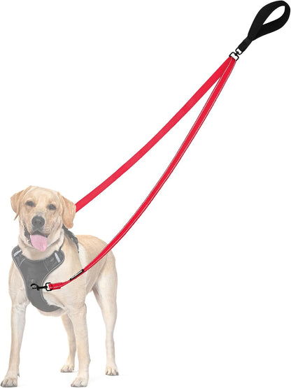 PetBonus Two Point Control Dog Leash, Works with No Pull Harnesses, No Tangle Dog Training Leashes