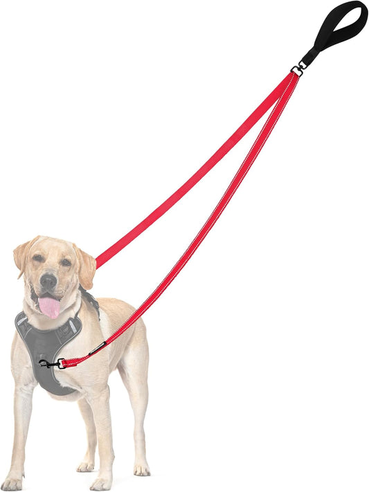 PetBonus Two Point Control Dog Leash, Works with No Pull Harnesses, No Tangle Dog Training Leashes