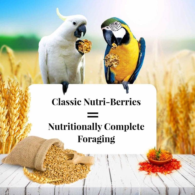 LAFEBER'S Classic Nutri-Berries Pet Bird Food, Made with Non-GMO and Human-Grade Ingredients, for