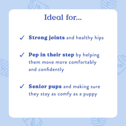 Bocce's Bakery Hip & Joint Supplement for Dogs, Daily Chews Made in The USA with Glucosamine, MSM