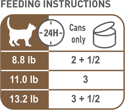 Royal Canin Aging 12+ Thin Slices in Gravy Canned Cat Food, 3 Oz Can (6-Pack)