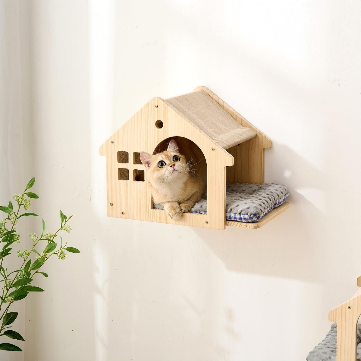 SHENGOCASE Natural Wood Cat Wall Shelves Bed, 2-Pack, Wall-Mounted Box House Perch, Cat Condo