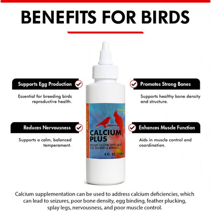 Morning Bird Calcium Plus Liquid Supplement for Birds - Liquid Calcium Formula with Magnesium and