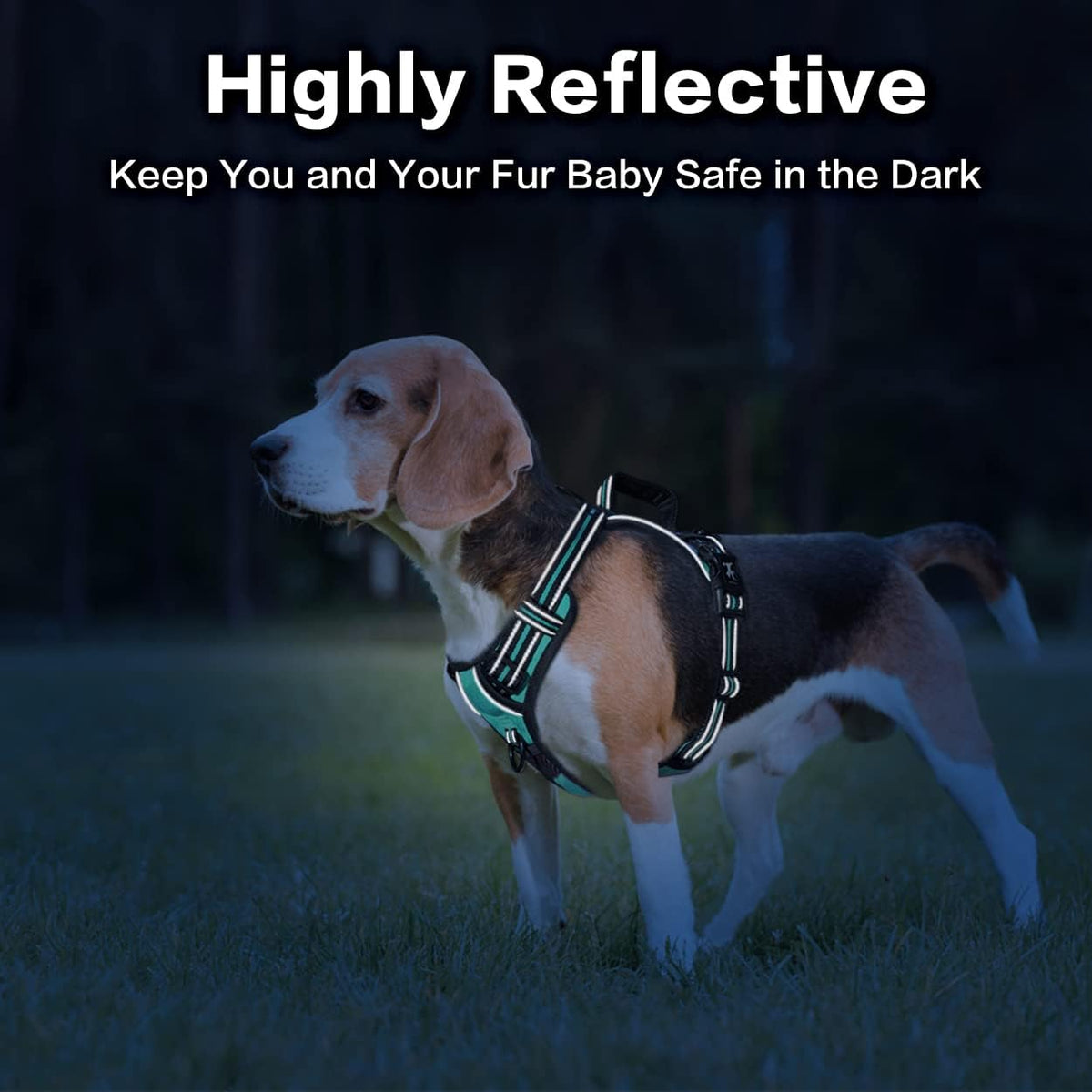 PoyPet No Pull Dog Harness, No Choke Front Clip Reflective Dog Vest with Soft Padded Vertical