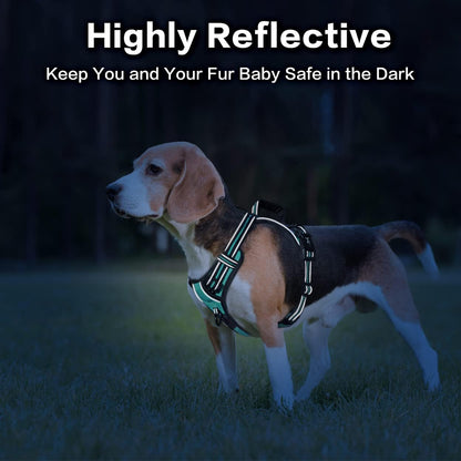 PoyPet No Pull Dog Harness, No Choke Front Clip Reflective Dog Vest with Soft Padded Vertical