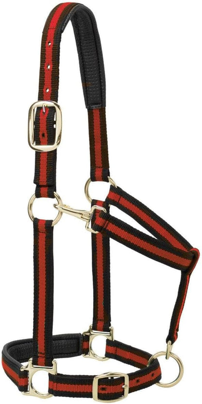 Weaver Leather Nylon Horse Halter, Padded and Adjustable, Chin and Throat Snap Hook Halters for