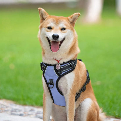 PoyPet No Pull Dog Harness, Reflective Comfortable Vest Harness with Front & Back 2 Leash
