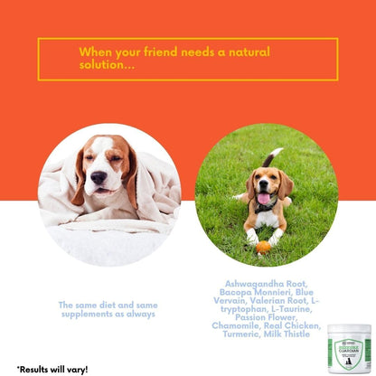 Nervous System Support and Calming Aid for Dogs & Cats – Natural Relaxation Aid from an American