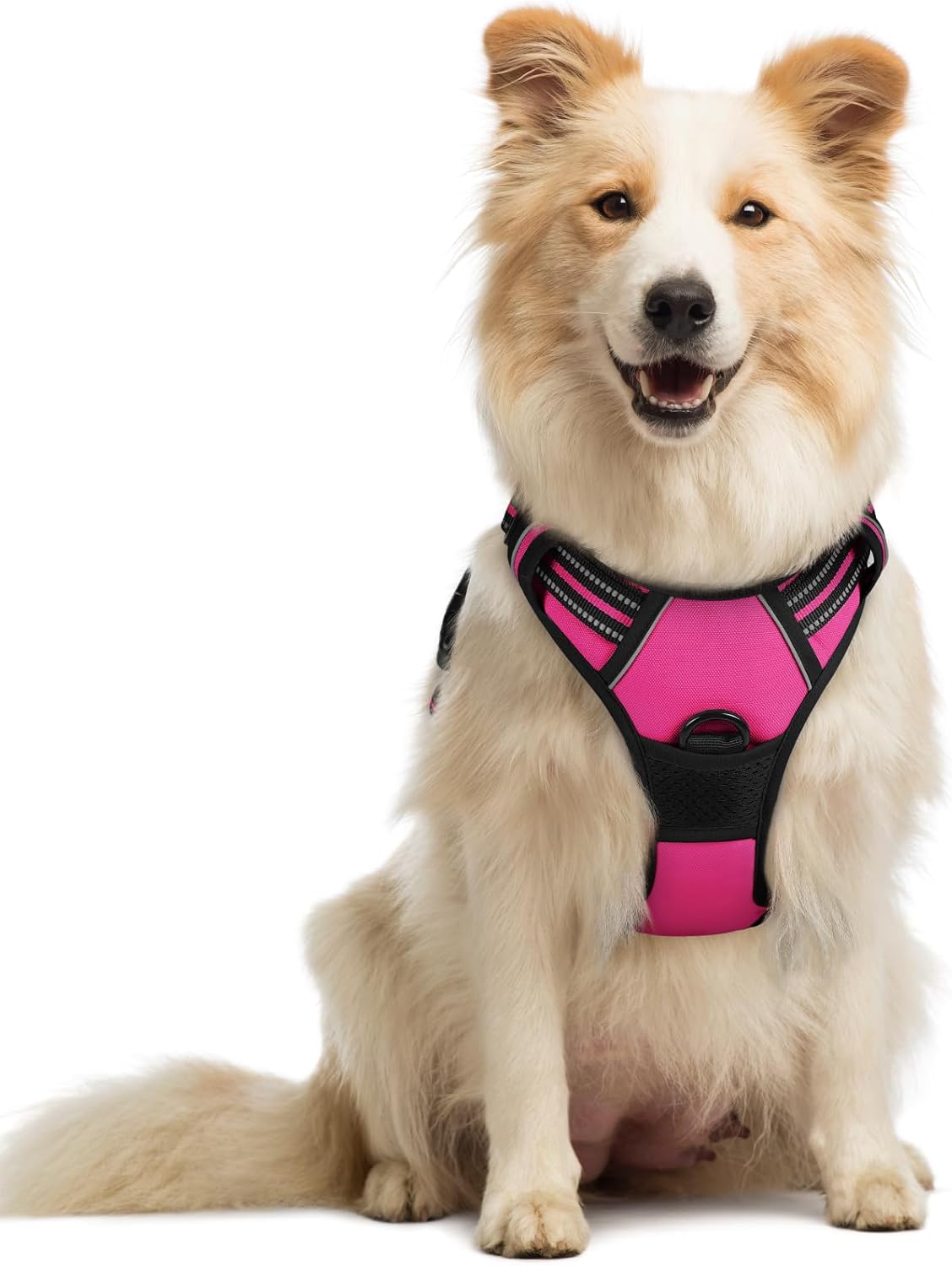 rabbitgoo Dog Harness No Pull with 2 Leash Clips, Adjustable Soft Padded, Reflective Oxford No