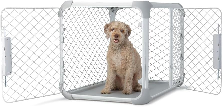 DIGGS Evolv Dog Crate - Slim, Durable Dog Kennel with Removable Ceiling Panel and Modular Design