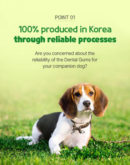 SSOMDALPET Chap Chap Dental Gum for Dogs, 30 Chews | Soft & Chewy, Dental Care Treat, Large Pack