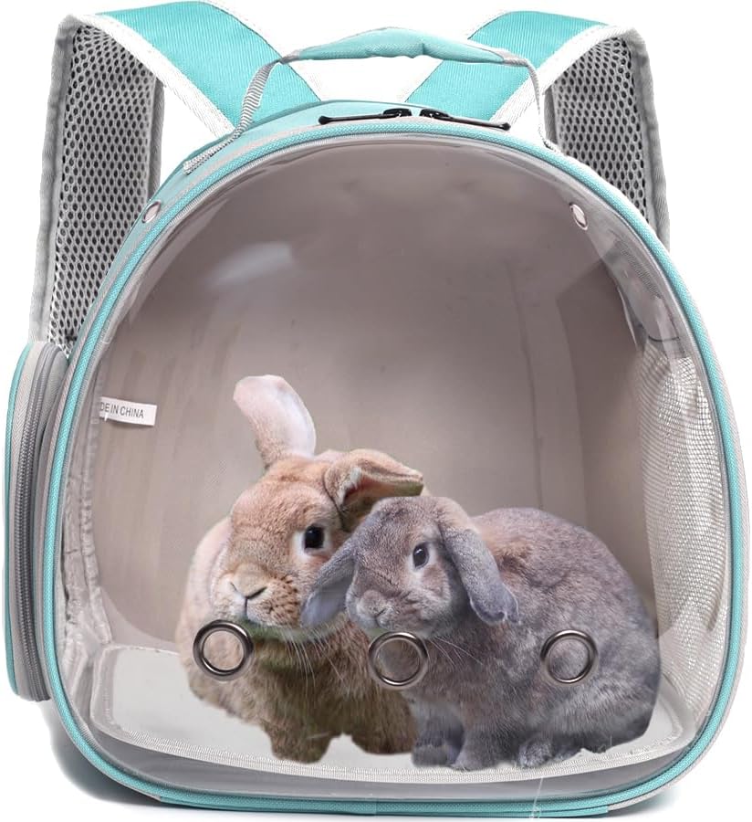 Guinea Pig Carrier Backpack with Soft Warm Mat Set,Lizard Backpack Carrier,Space Capsule Clear