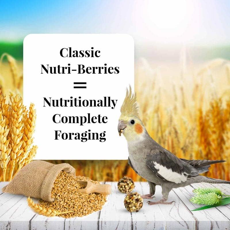 LAFEBER'S Classic Nutri-Berries Pet Bird Food, Made with Non-GMO and Human-Grade Ingredients, for