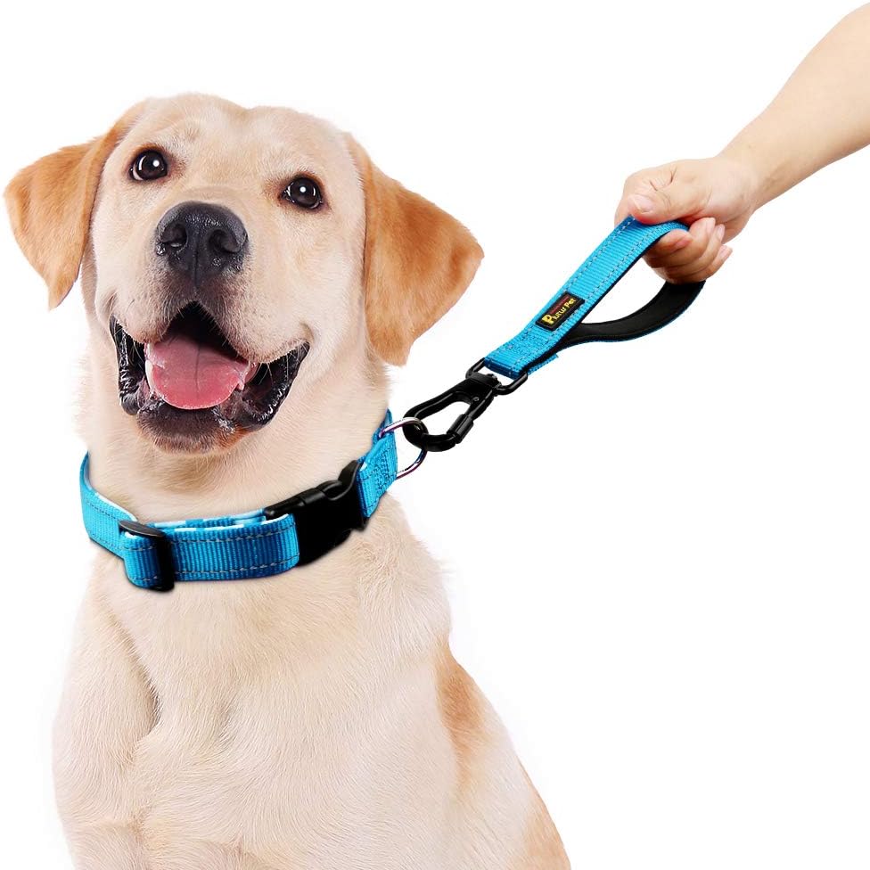 PLUTUS PET 10” Short Dog Leash, Reflective Nylon Padded Handle, Strong Traffic Leash with Carabiner