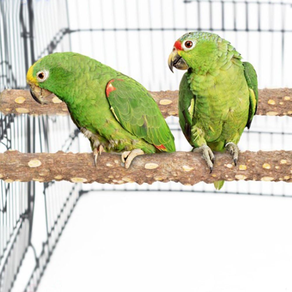 PINVNBY 3Pcs Bird Perches for Cage, Nature Wood Prickly Parrot Stand Toy Paw Grinding Stick for