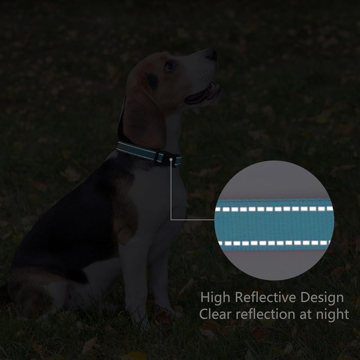 Reflective Dog Collar Padded with Soft Neoprene Breathable Quick Release Basic Dog Collars for
