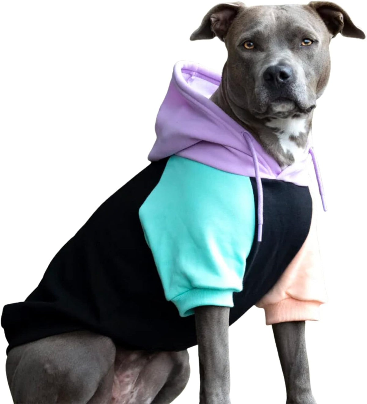 Spark Paws Dog Hoodie – Premium Dog Sweater for Small, Medium, and Large Dogs | Warm Outfits for