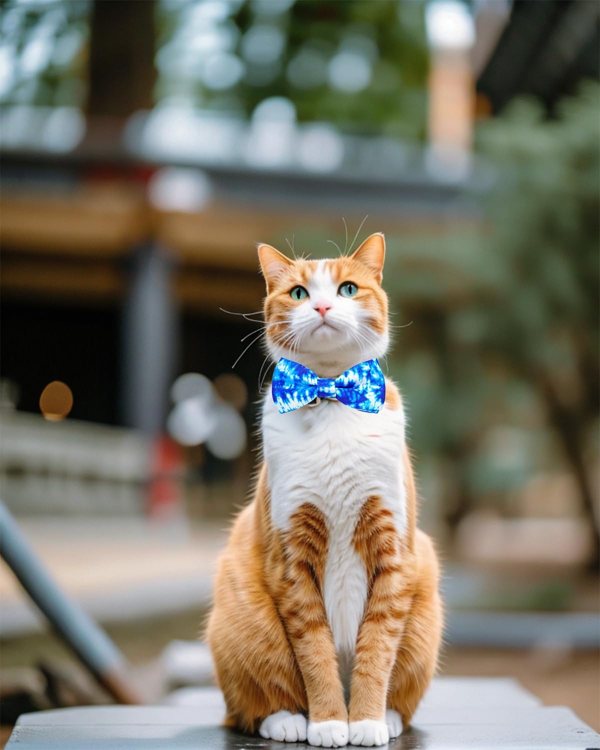 PET SHOW 10 Pack Tie Dye Small Dog Bow Ties Sliding Collar Attachments Puppy Cats Floral Bowties