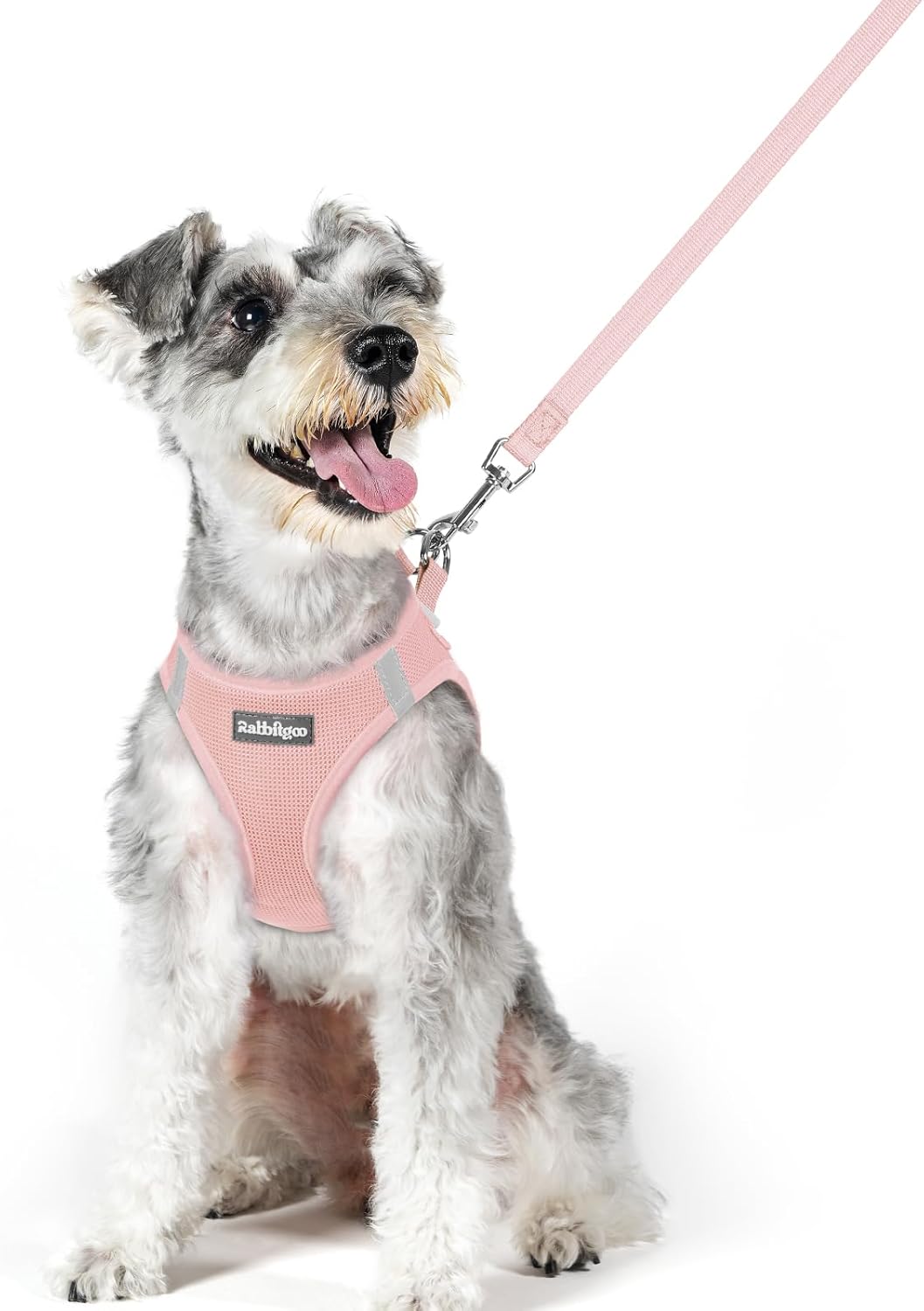 rabbitgoo Dog Harness Small Sized and Leash Set, Step in Soft Light Puppy Vest, Breathable Mesh Pet