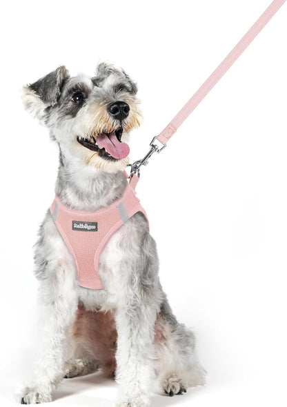 rabbitgoo Dog Harness Small Sized and Leash Set, Step in Soft Light Puppy Vest, Breathable Mesh Pet