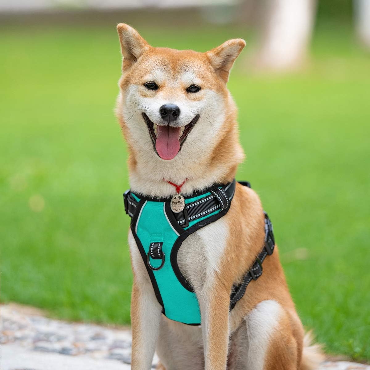 PoyPet No Pull Dog Harness, Reflective Comfortable Vest Harness with Front & Back 2 Leash